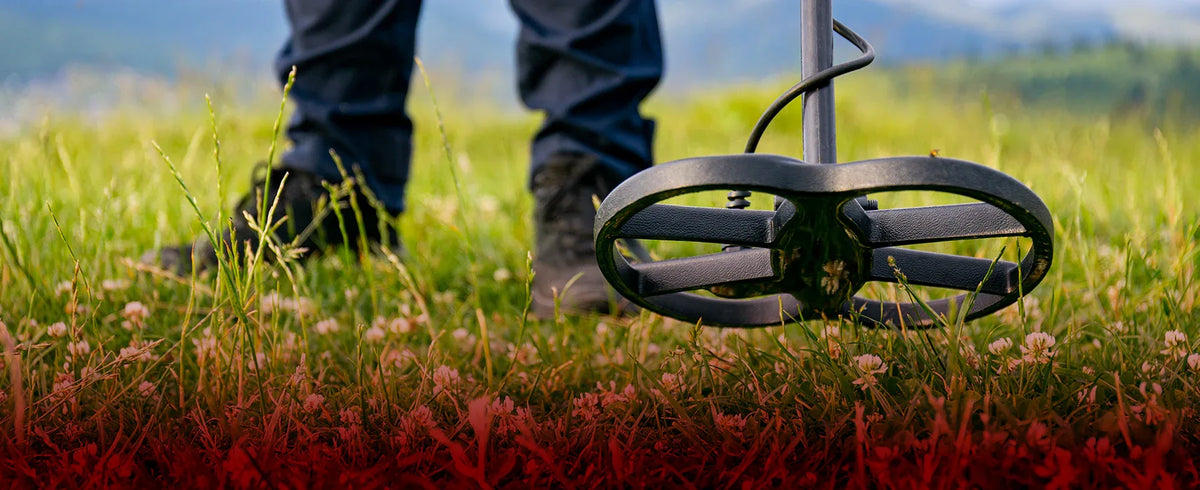 Metal Detectors Pro | Professional Metal Detectors