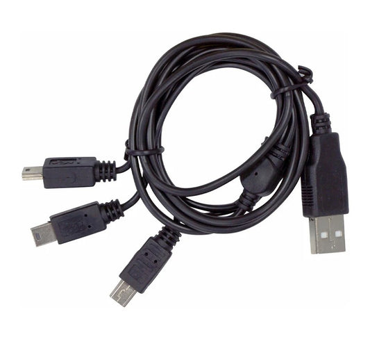 XP Deus and ORX Cable USB 3 mini B for simultaneously charging the headphone, remote and search coil. DCUSB3