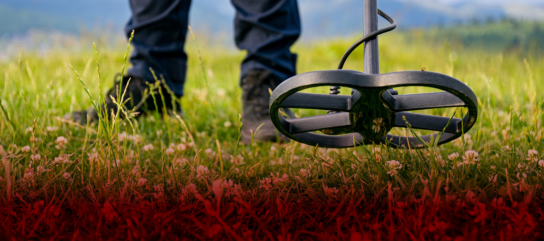 Metal Detector Pro Referral Program – Metal Detectors Pro